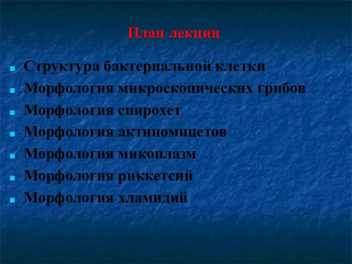 План лекции Структура бактериальной клетки Морфология микроскопических грибов Морфология спирохет