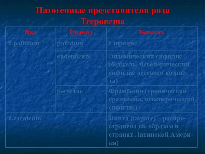 Патогенные представители рода Treponema