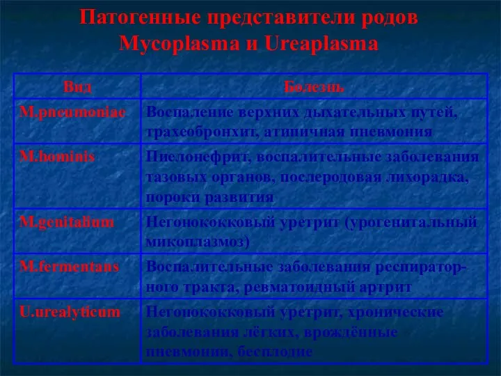 Патогенные представители родов Mycoplasma и Ureaplasma