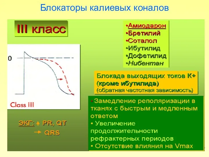 Блокаторы калиевых коналов