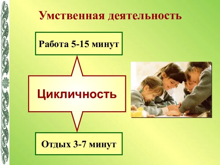 Умственная деятельность Цикличность Работа 5-15 минут Отдых 3-7 минут