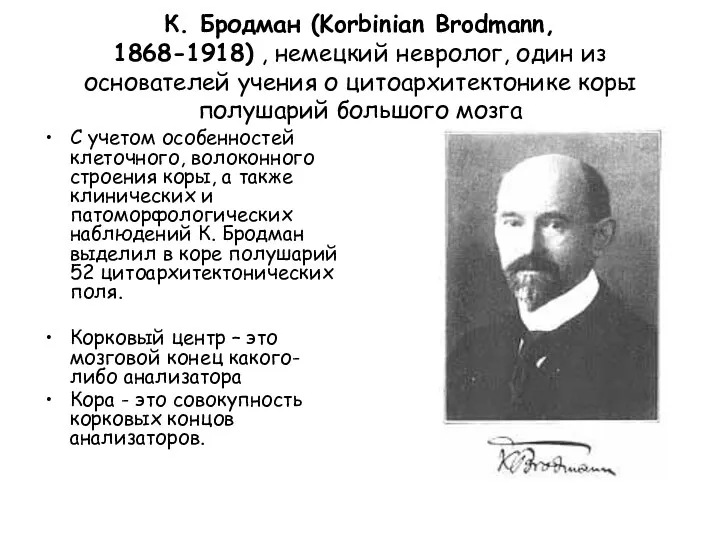 К. Бродман (Korbinian Brodmann, 1868-1918) , немецкий невролог, один из