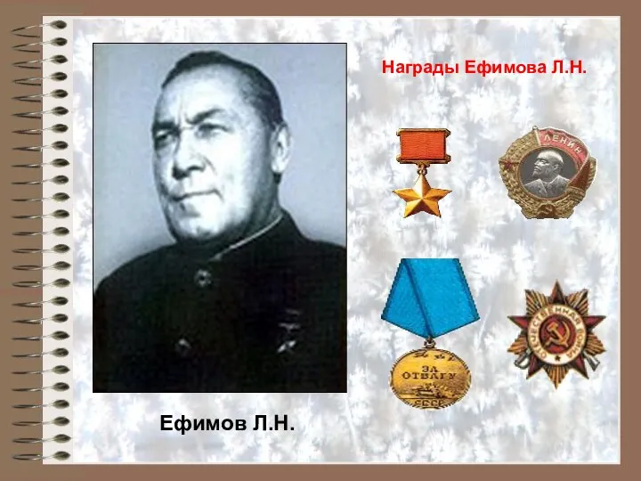 Ефимов Л.Н. Награды Ефимова Л.Н.