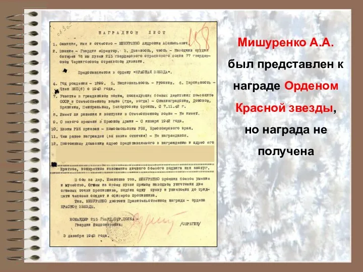 Мишуренко А.А. был представлен к награде Орденом Красной звезды, но награда не получена