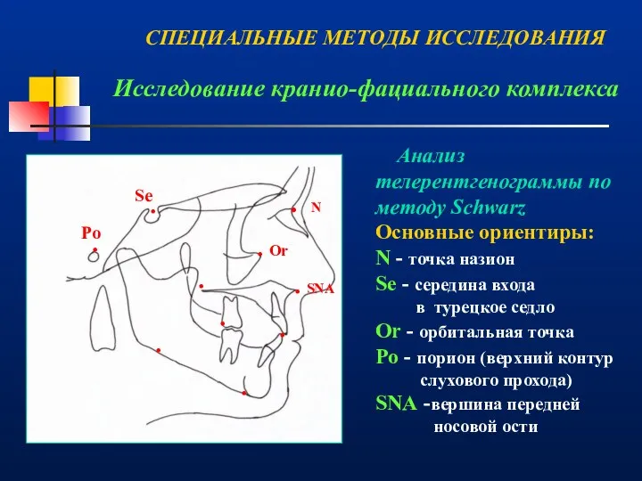 Исследование кранио-фациального комплекса . . N . . Or .