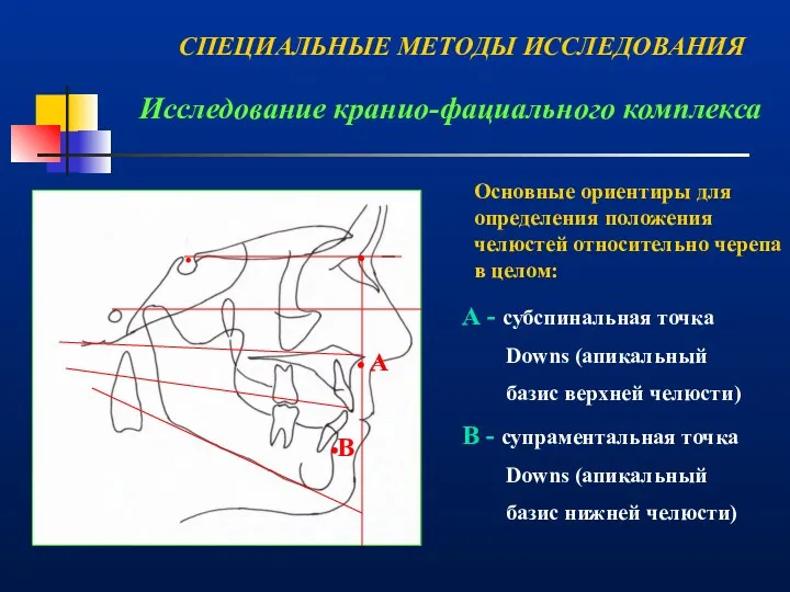 Исследование кранио-фациального комплекса . . . . А В А