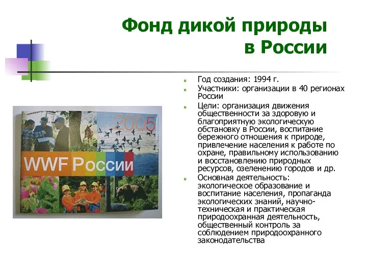 Фонд дикой природы в России Год создания: 1994 г. Участники: организации в 40