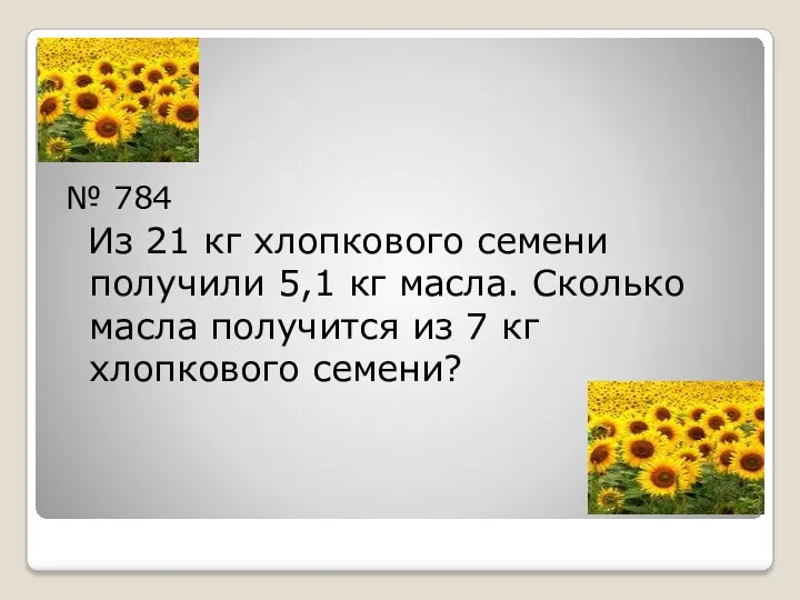 № 784 Из 21 кг хлопкового семени получили 5,1 кг