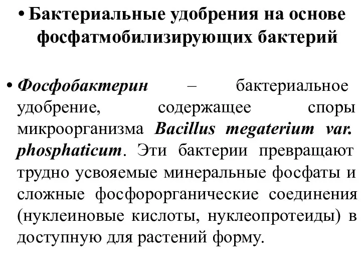 Бактериальные удобрения на основе фосфатмобилизирующих бактерий Фосфобактерин – бактериальное удобрение,