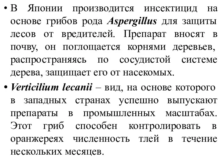 В Японии производится инсектицид на основе грибов рода Aspergillus для