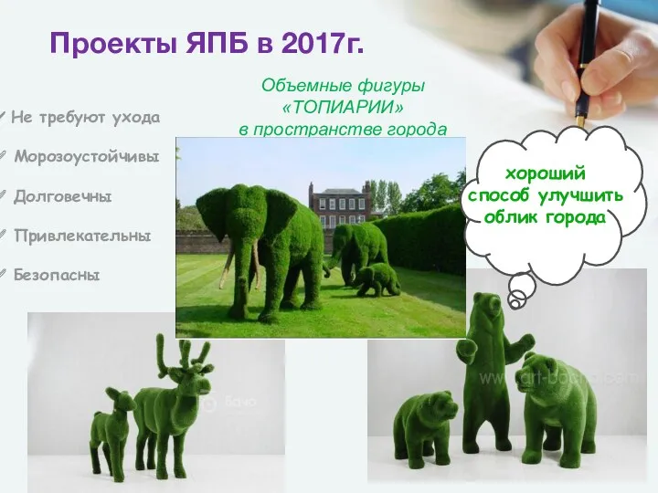 Объемные фигуры «ТОПИАРИИ» в пространстве города Проекты ЯПБ в 2017г.