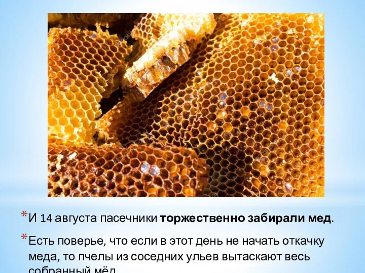 И 14 августа пасечники торжественно забирали мед. Есть поверье, что