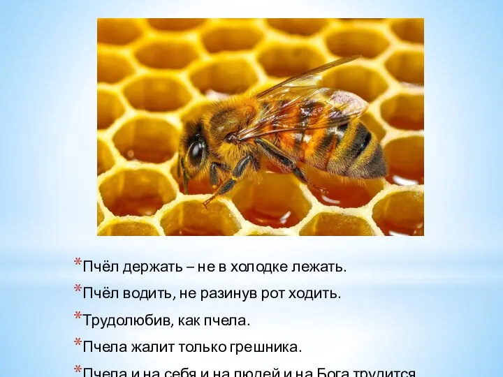 Пчёл держать – не в холодке лежать. Пчёл водить, не