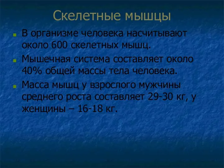 Скелетные мышцы В организме человека насчитывают около 600 скелетных мышц.