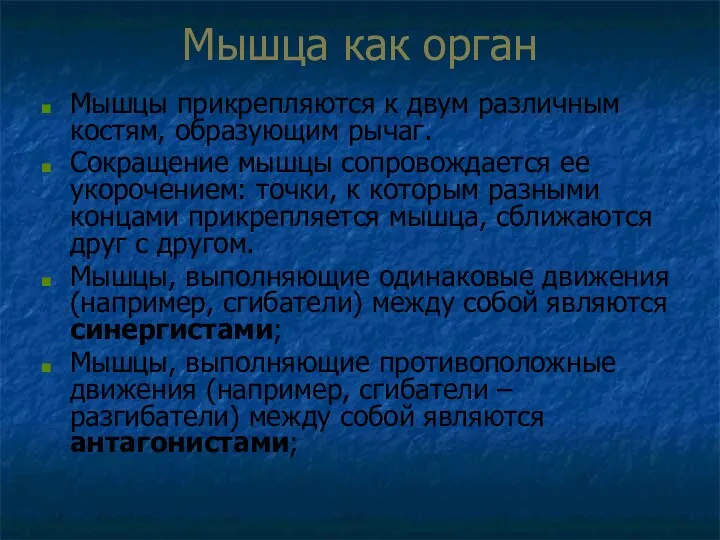 Мышца как орган Мышцы прикрепляются к двум различным костям, образующим