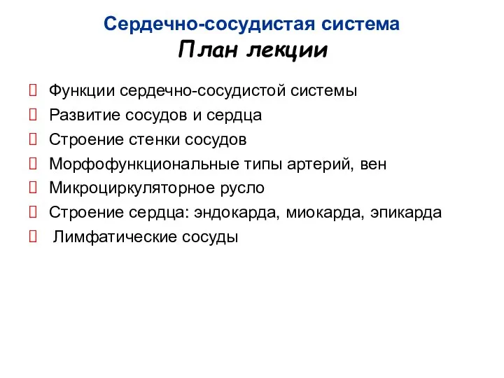 Сердечно-сосудистая система План лекции Функции сердечно-сосудистой системы Развитие сосудов и сердца Строение стенки