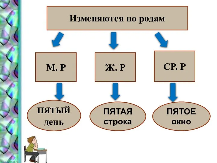 Изменяются по родам М. Р Ж. Р СР. Р ПЯТЫЙ день ПЯТАЯ строка ПЯТОЕ окно