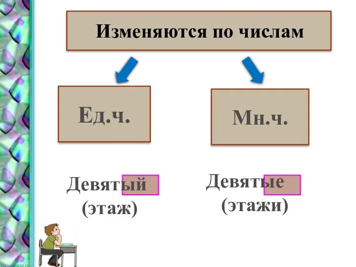 Изменяются по числам Ед.ч. Мн.ч. Девятый (этаж) Девятые (этажи)