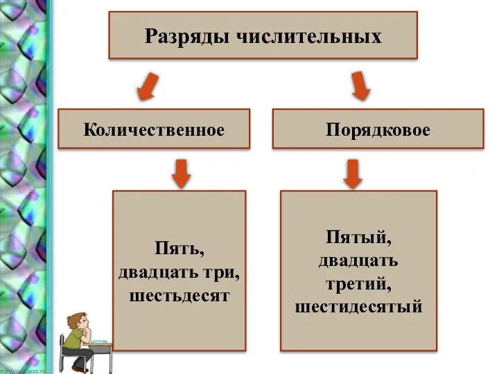 Разряды числительных Количественное Порядковое Пять, двадцать три, шестьдесят Пятый, двадцать третий, шестидесятый