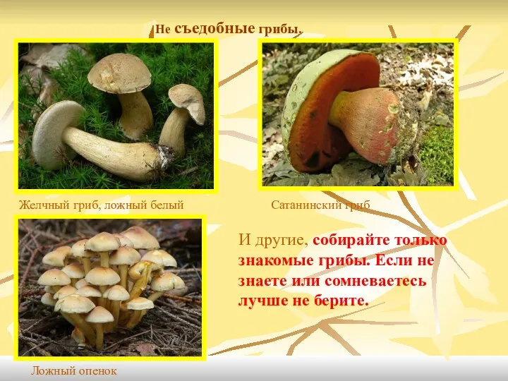 Не съедобные грибы. Желчный гриб, ложный белый Сатанинский гриб Ложный опенок И другие,