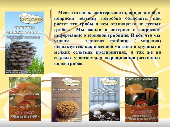 Меня это очень заинтересовало, придя домой, я попросил дедушку подробно