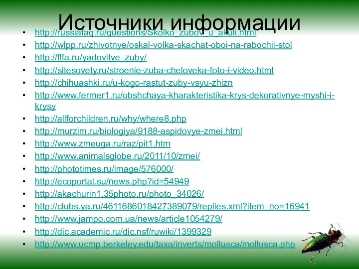 Источники информации http://russiafaq.ru/questions/Skolko_zubov_u_akuli.html http://wlpp.ru/zhivotnye/oskal-volka-skachat-oboi-na-rabochii-stol http://flfa.ru/yadovitye_zuby/ http://sitesovety.ru/stroenie-zuba-cheloveka-foto-i-video.html http://chihuashki.ru/u-kogo-rastut-zuby-vsyu-zhizn http://www.fermer1.ru/obshchaya-kharakteristika-krys-dekorativnye-myshi-i-krysy http://allforchildren.ru/why/where8.php http://murzim.ru/biologiya/9188-aspidovye-zmei.html