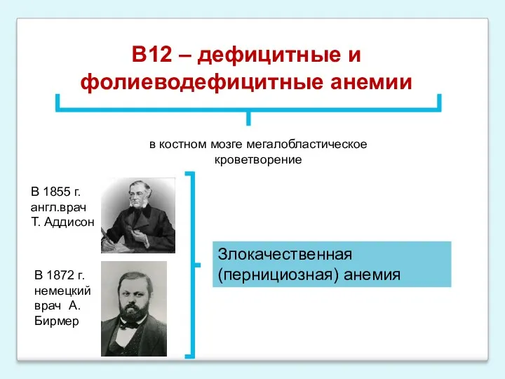 В12 – дефицитные и фолиеводефицитные анемии в костном мозге мегалобластическое