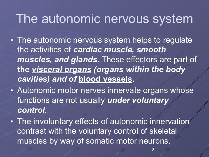 The autonomic nervous system The autonomic nervous system helps to regulate the activities