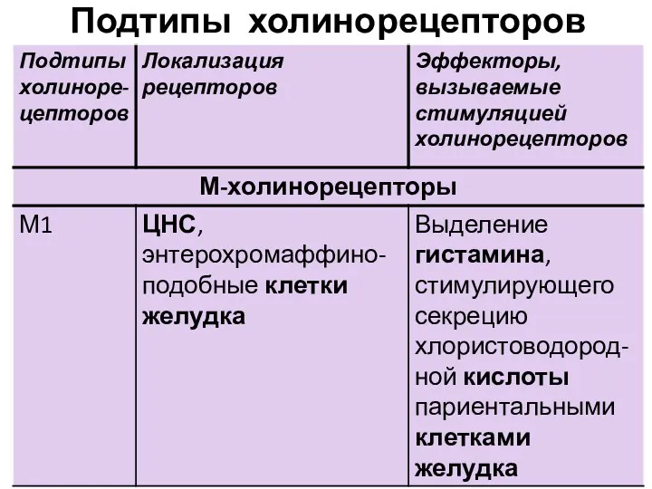 Подтипы холинорецепторов