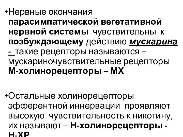 Нервные окончания парасимпатической вегетативной нервной системы чувствительны к возбуждающему действию