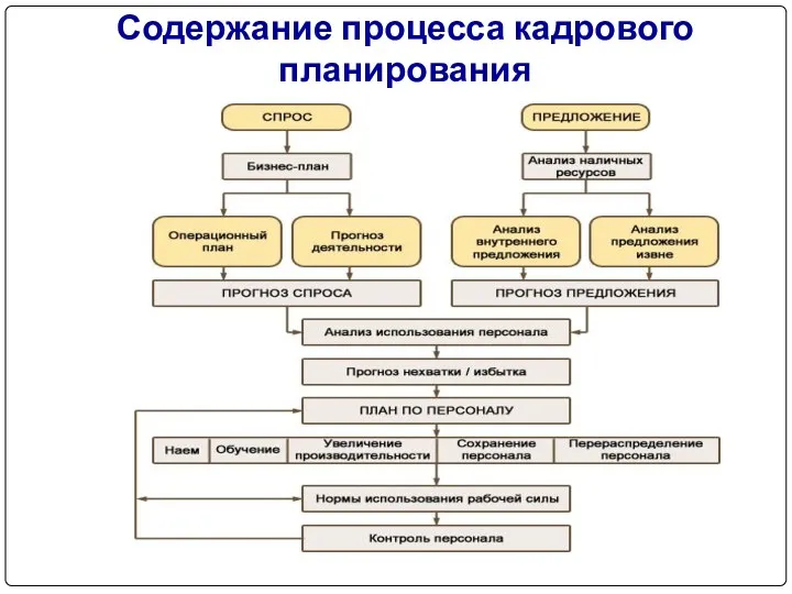 Содержание процесса кадрового планирования