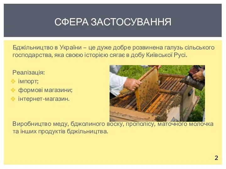 Бджільництво в України – це дуже добре розвинена галузь сільського