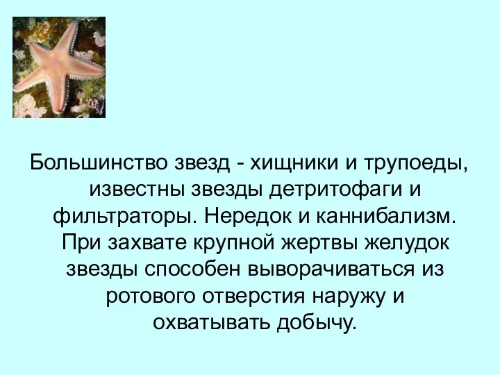 Большинство звезд - хищники и трупоеды, известны звезды детритофаги и фильтраторы. Нередок и