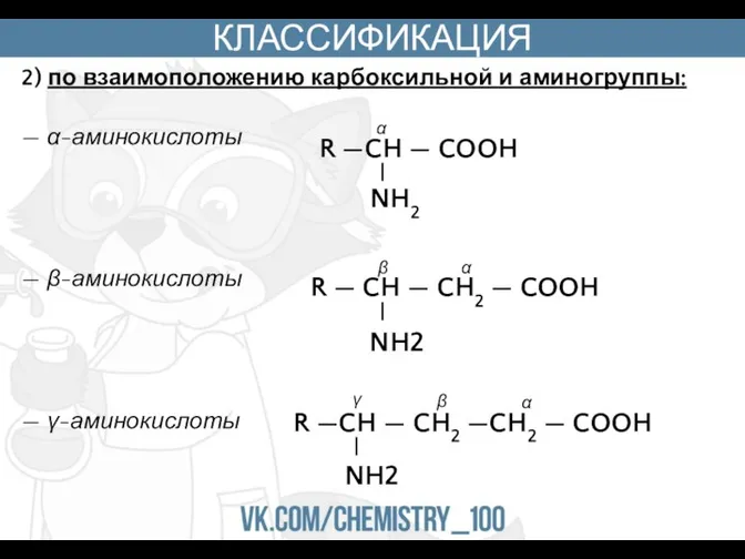 КЛАССИФИКАЦИЯ 2) по взаимоположению карбоксильной и аминогруппы: — α-аминокислоты —
