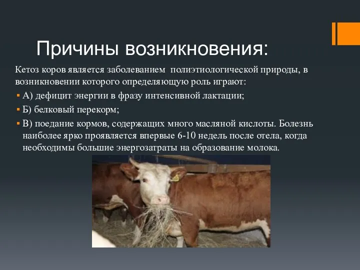 Причины возникновения: Кетоз коров является заболеванием полиэтиологической природы, в возникновении