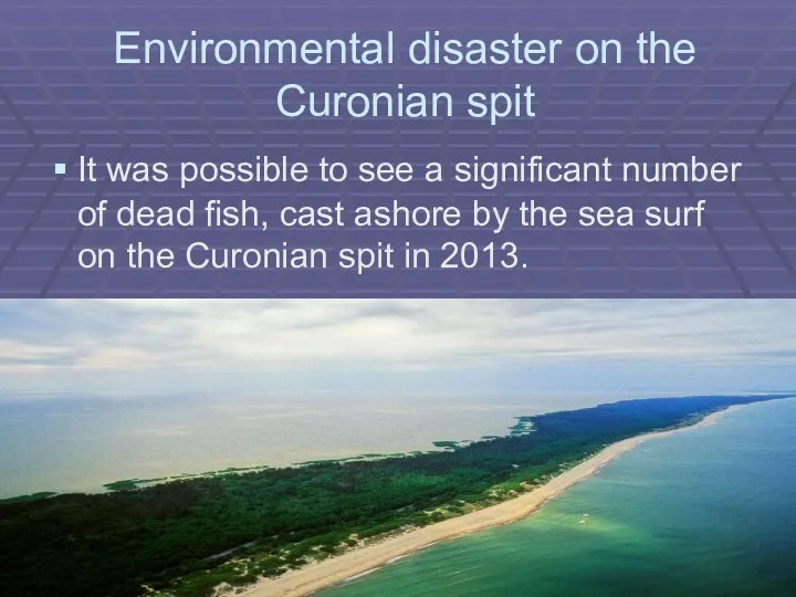 Environmental disaster on the Curonian spit It was possible to