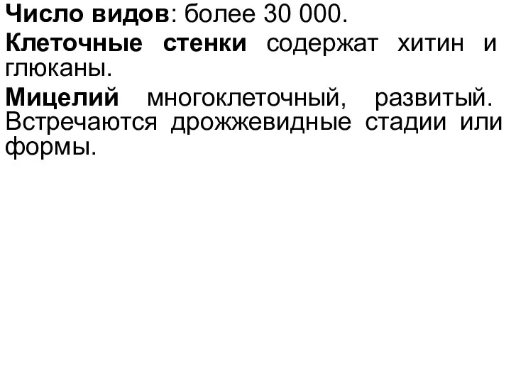 Число видов: более 30 000. Клеточные стенки содержат хитин и