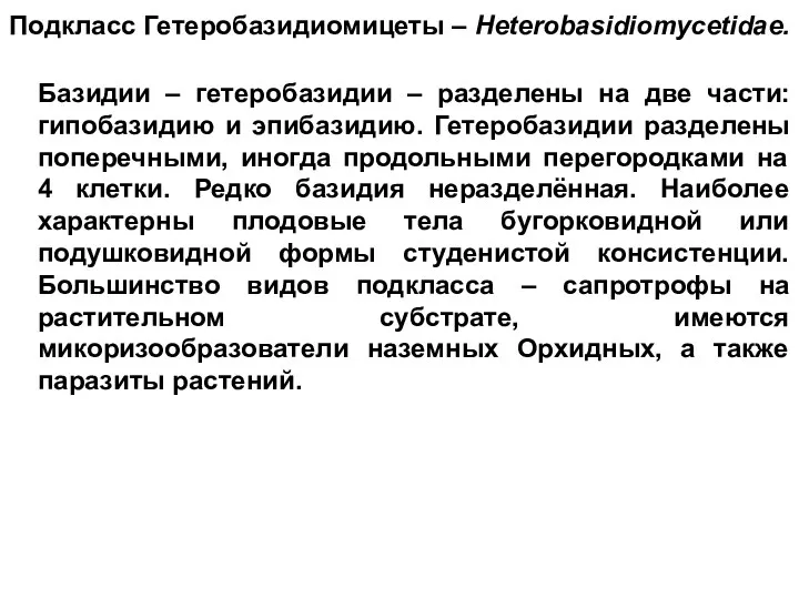 Подкласс Гетеробазидиомицеты – Heterobasidiomycetidae. Базидии – гетеробазидии – разделены на