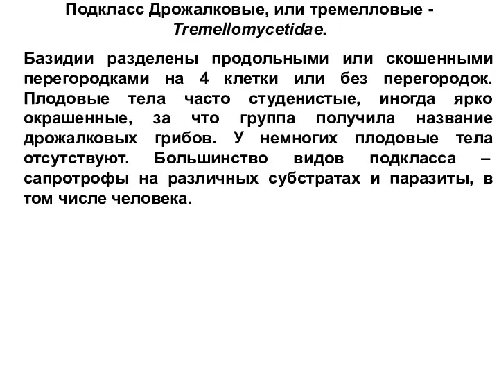 Подкласс Дрожалковые, или тремелловые - Tremellomycetidae. Базидии разделены продольными или