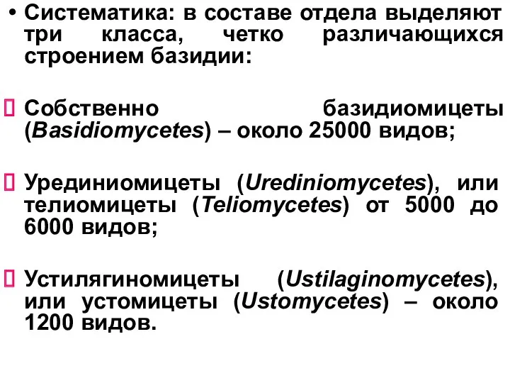 Систематика: в составе отдела выделяют три класса, четко различающихся строением