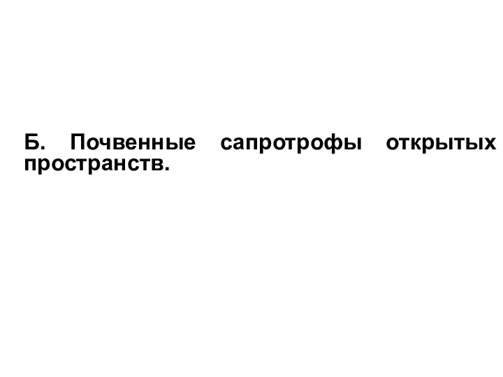 Б. Почвенные сапротрофы открытых пространств.