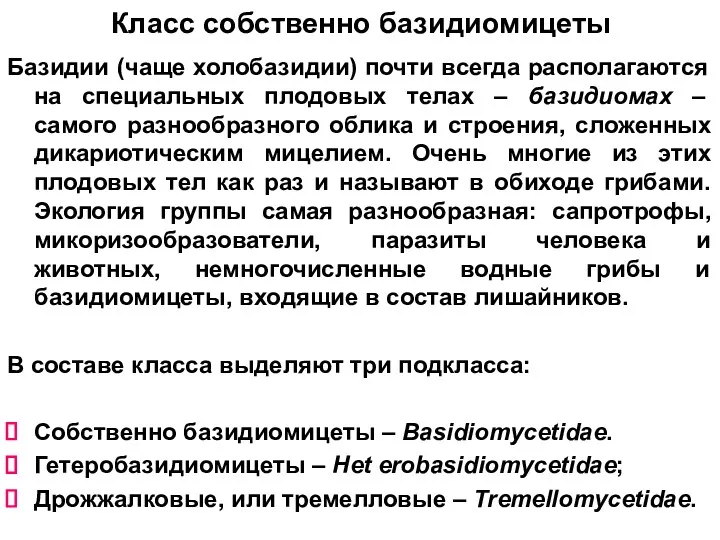 Класс собственно базидиомицеты Базидии (чаще холобазидии) почти всегда располагаются на