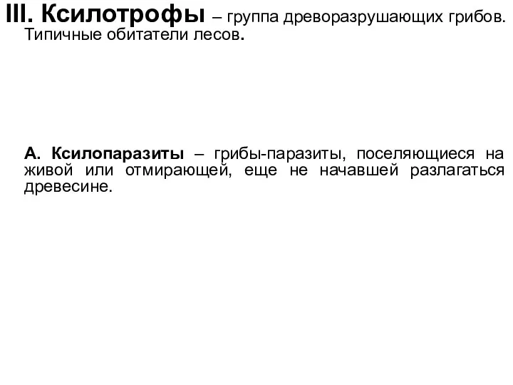 III. Ксилотрофы – группа древоразрушающих грибов. Типичные обитатели лесов. А.