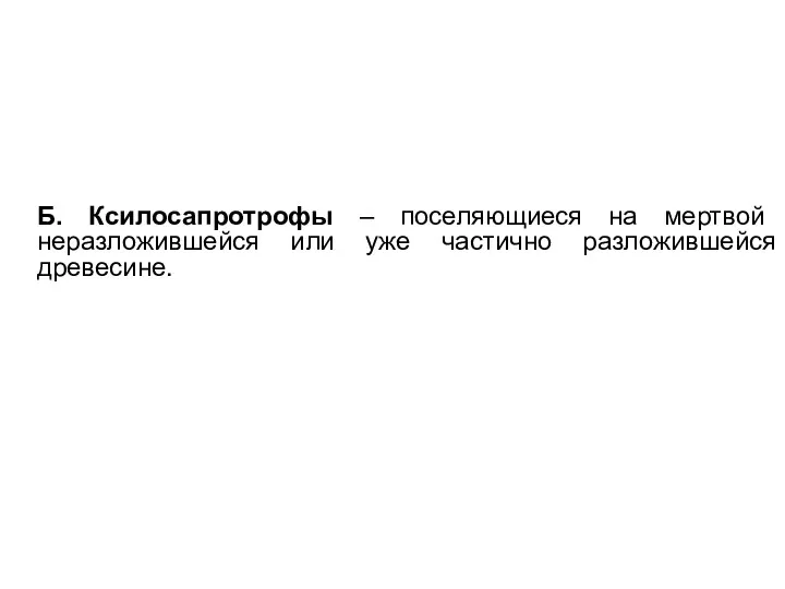 Б. Ксилосапротрофы – поселяющиеся на мертвой неразложившейся или уже частично разложившейся древесине.