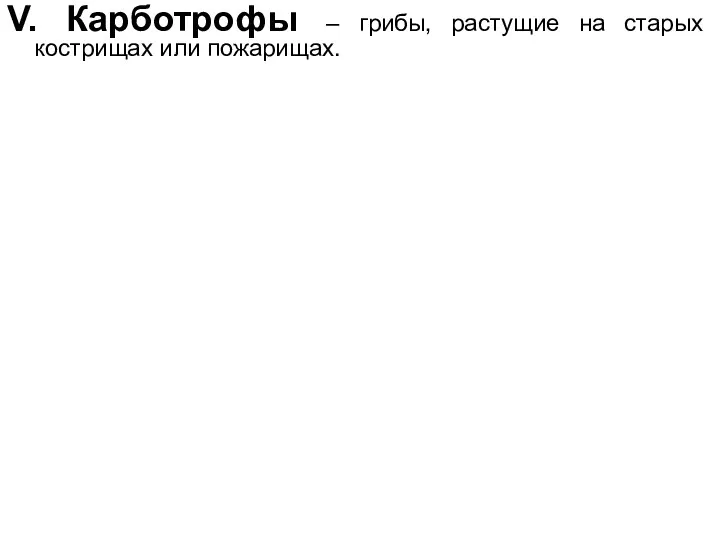 V. Карботрофы – грибы, растущие на старых кострищах или пожарищах.