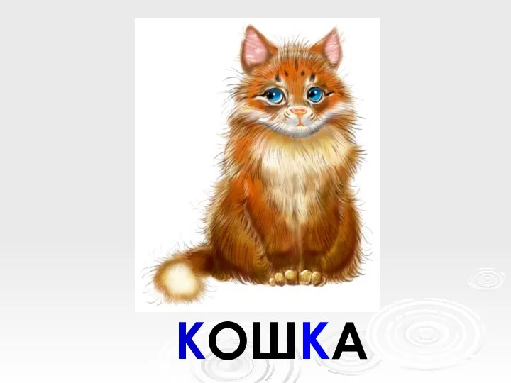 КОШКА