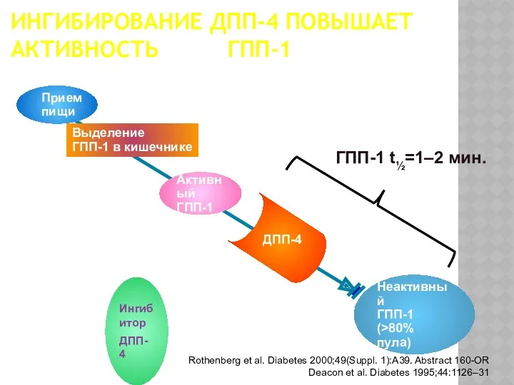 ИНГИБИРОВАНИЕ ДПП-4 ПОВЫШАЕТ АКТИВНОСТЬ ГПП-1 Rothenberg et al. Diabetes 2000;49(Suppl.