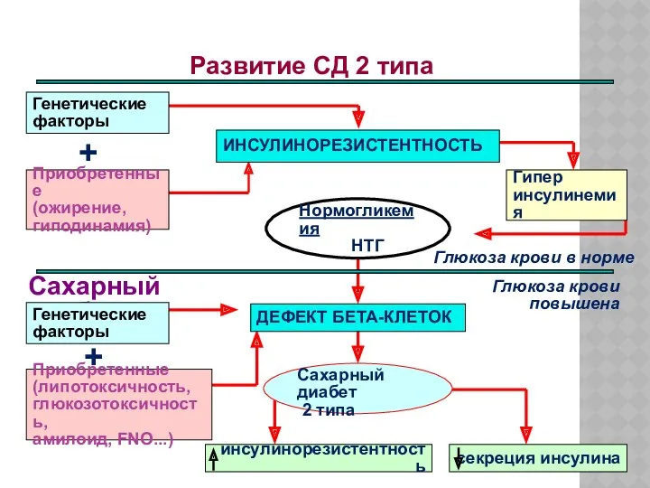 Развитие СД 2 типа Глюкоза крови повышена Глюкоза крови в