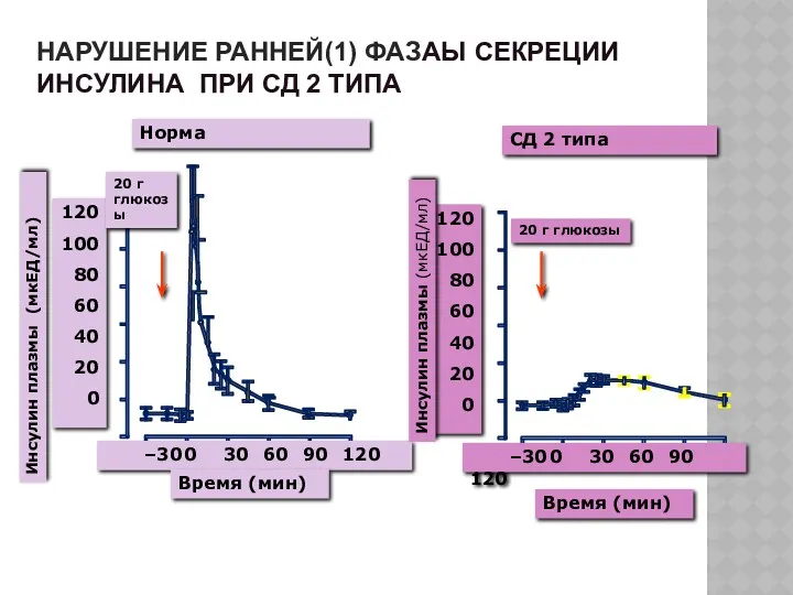 НАРУШЕНИЕ РАННЕЙ(1) ФАЗАЫ СЕКРЕЦИИ ИНСУЛИНА ПРИ СД 2 ТИПА Норма