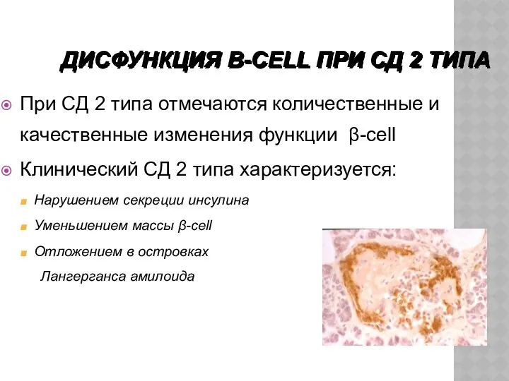 ДИСФУНКЦИЯ Β-CELL ПРИ СД 2 ТИПА При СД 2 типа